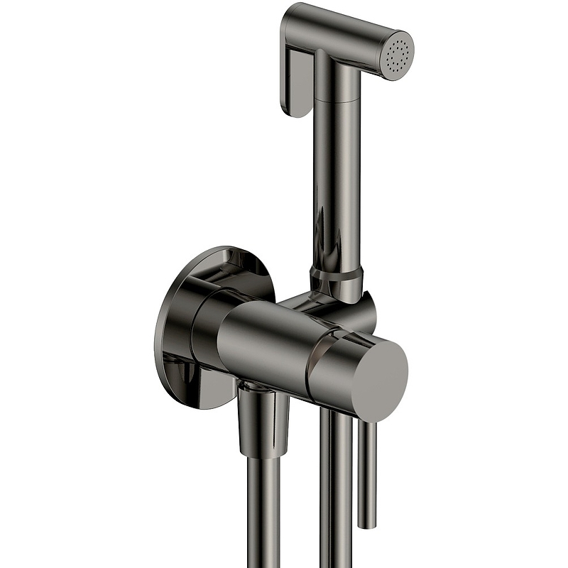 Гигиенический душ со смесителем AQUAme Siena AQM6217GM Оружейный металл