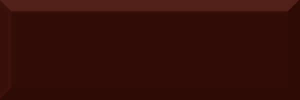 Плитка настенная Absolut Keramika Monocolor Biselado Brillo 10x30 Marron 10x30
