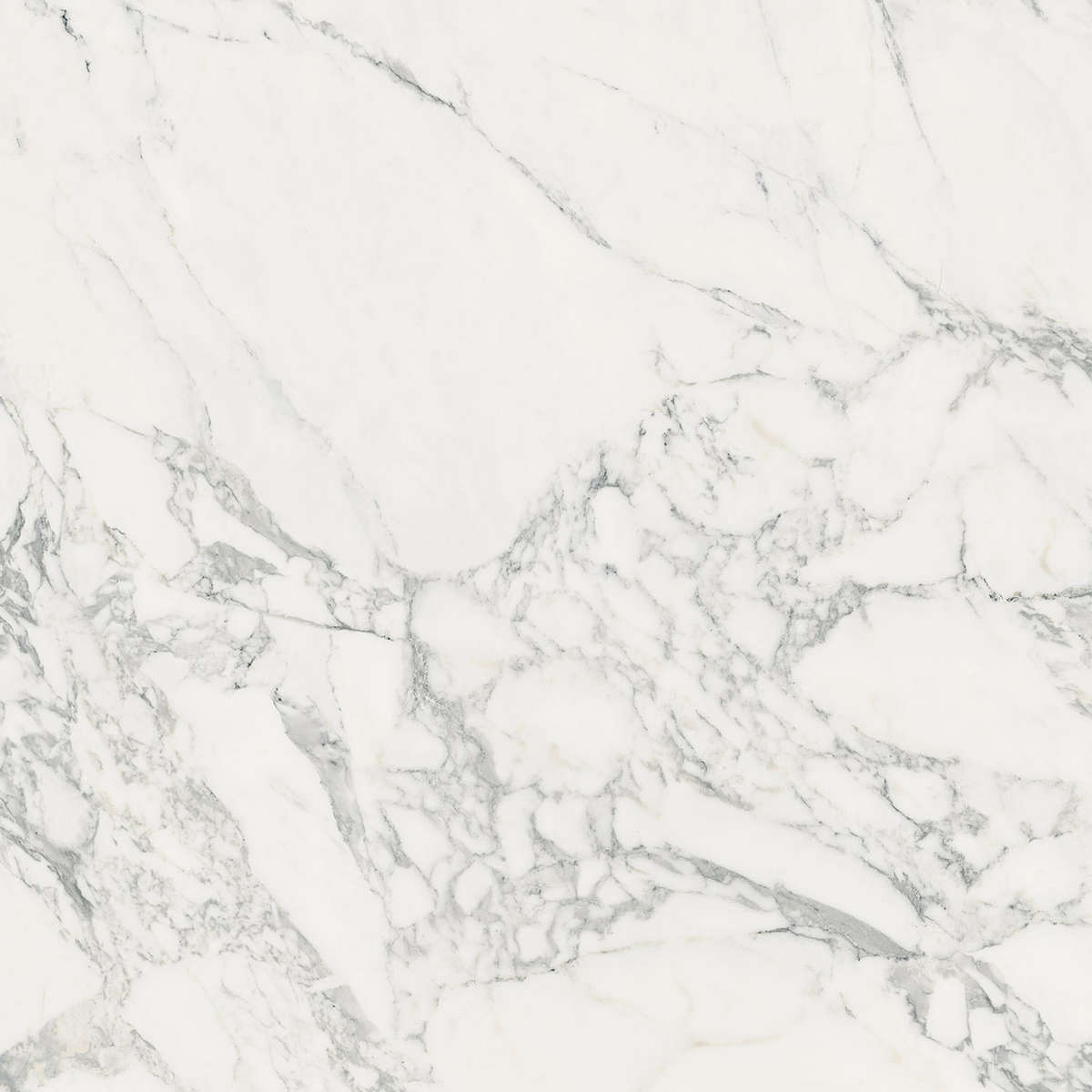Керамогранит Porcelanosa Dolomiti Pulido 120x120