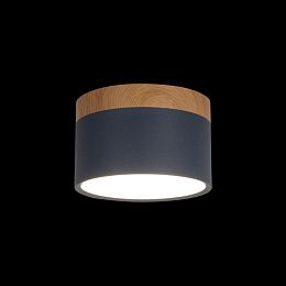 Детский точечный светильник LOFT IT 10162 Blue