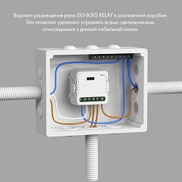 Wi-Fi реле Denkirs RL1003-DM