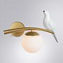 Детское бра ARTE Lamp A3422AP-1GO