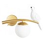 Детское бра ARTE Lamp A3422AP-1GO