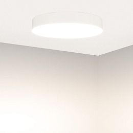 Пылевлагозащищенный светильник Arlight 049803
