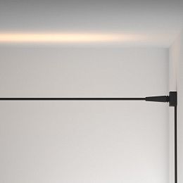 Светильник на шине Maytoni Technical TR160-1-100W3K-10B